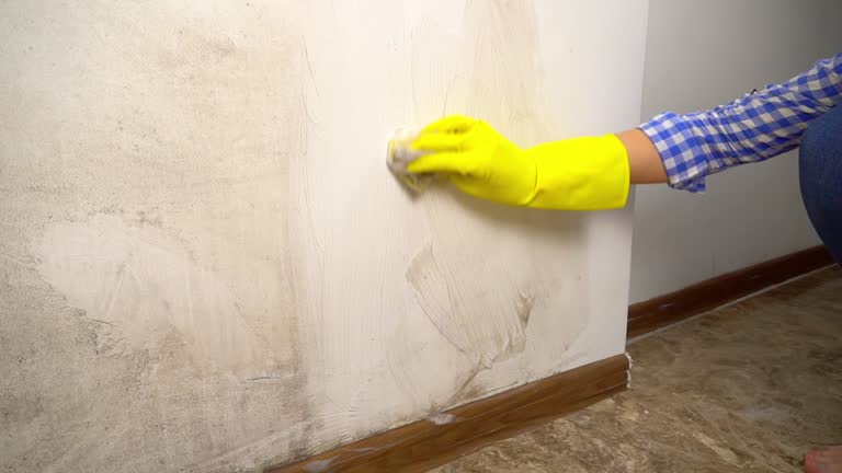 Best Mold Removal for HVAC Installations  in Soulsbyville, CA